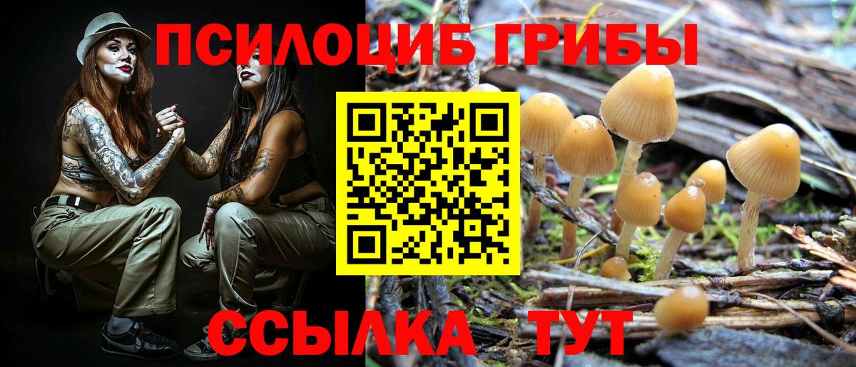 Галлюциногенные грибы Magic Shrooms Махачкала