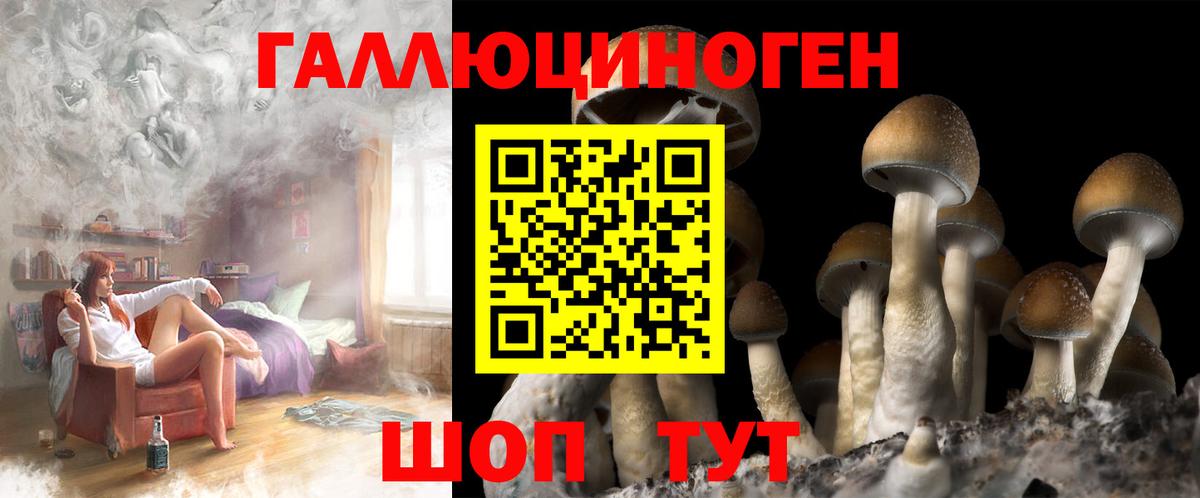 наркотики  Вход с VPN  Псилоцибиновые грибы Psilocybine cubensis  Махачкала  Галлюциногенные грибы Psilocybe 